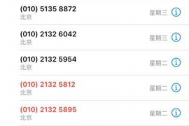 江疏影讨债沈总:娱乐圈中的债务纠纷 江疏影讨债沈总:娱乐圈中的债务纠纷